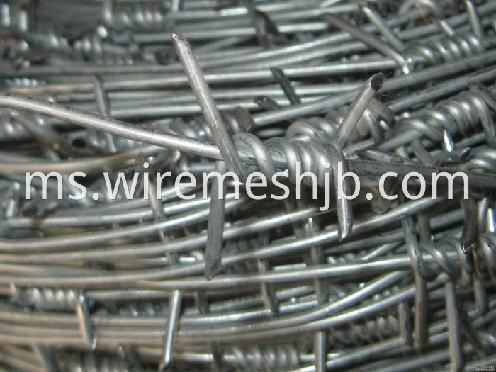 Barbed Wire Single Strand